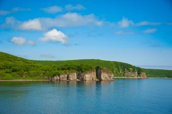 Stock image Sunny shore