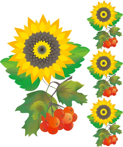 Sonnenblume mit Drosselrose — Stockvektor