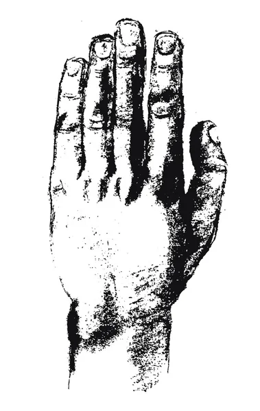 Handritad hand — Stock vektor
