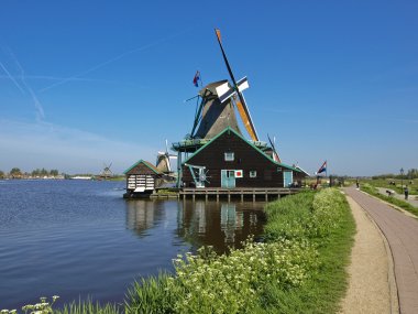 Zaanse tarlalarında yel değirmenleri