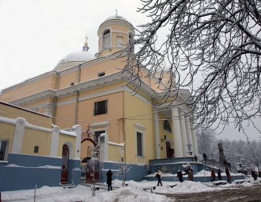 Alexander_s Church in Kiev in the winter clipart