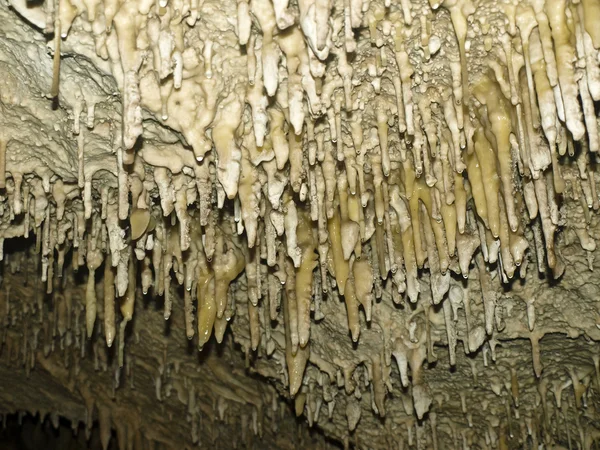 stock image Stalactites in a cave