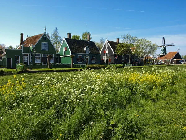Zaanse Schans'a Köyü — Stok fotoğraf