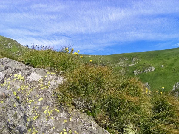 Steinvorsprung mit Flechten und Gras bedeckt — Stockfoto