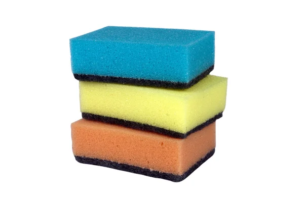 Stock image Sponge