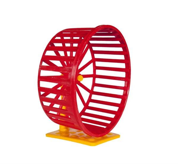 Wheel for rodents — Stock Photo, Image