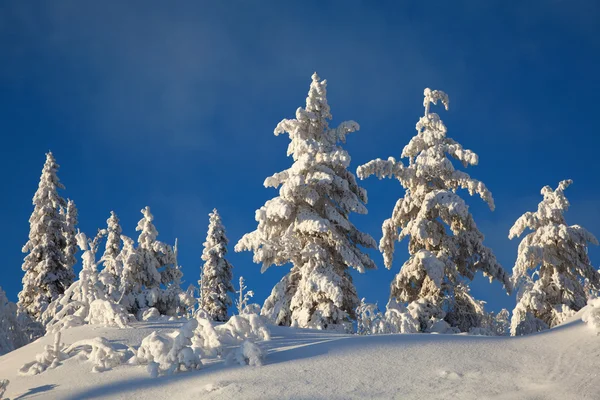 Paisaje invernal en montañas Fotos De Stock