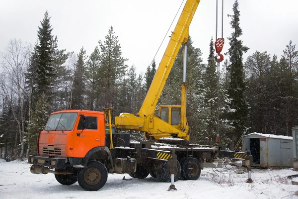 Crane arbetar i skogen på vintern — Stockfoto