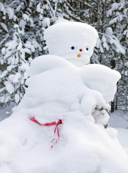 Χιονάνθρωπο γίνεται από τη φύση και πολυμήχανος άνθρωπος — Φωτογραφία Αρχείου