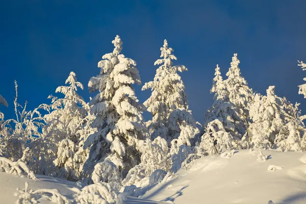 Zimní krajina v horách Stock Obrázky