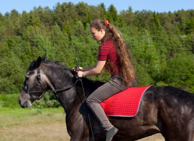 Girl rides a horse clipart