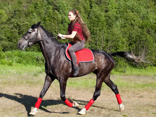 En tjej som rider en häst — Stockfoto