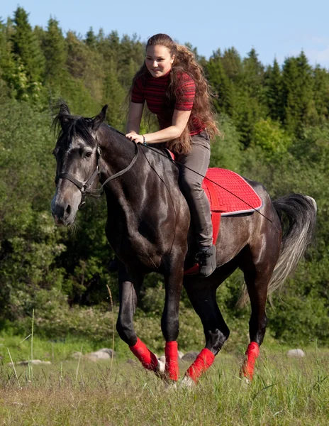 Ein Mädchen reitet auf einem Pferd im Galopp — Stockfoto