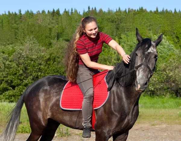 Una chica con el pelo acariciando a caballo — Foto de Stock