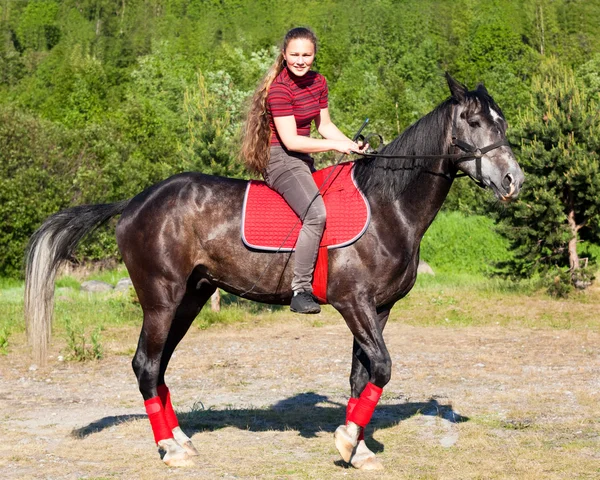 黒い種馬の女の子 — ストック写真