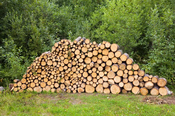 Ahşap woodpile kurutmak için yığılmış — Stok fotoğraf