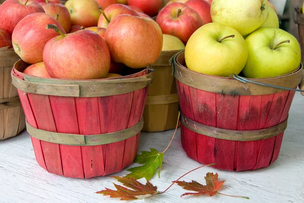 Φθινόπωρο μήλα με φύλλα — Φωτογραφία Αρχείου