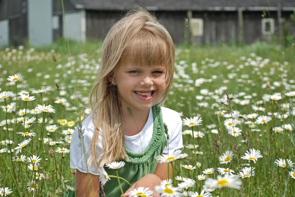 Happy Girl in daisies — Stock Photo, Image