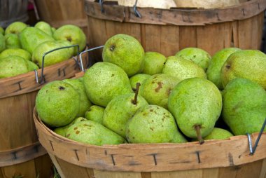 Fresh Pears clipart