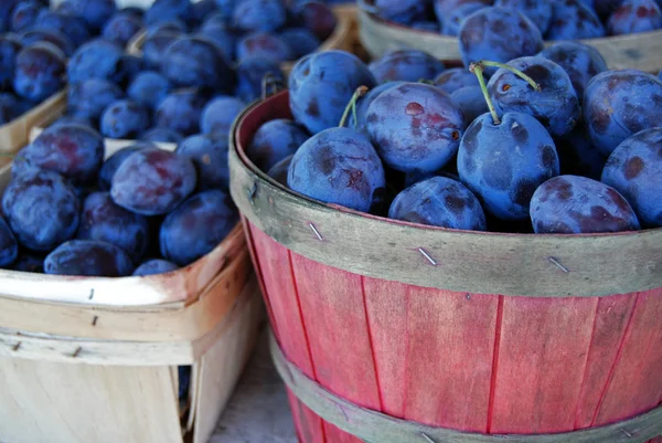 Pruimen en druiven — Stockfoto