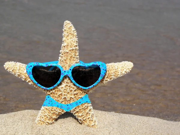 Starfish dragen bikini — Stockfoto