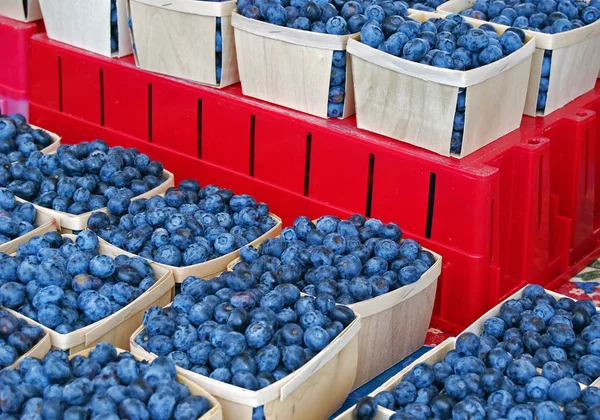 在市场上的蓝莓 — 图库照片