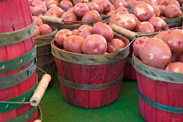 Pommes de terre rouges dans des paniers — Photo