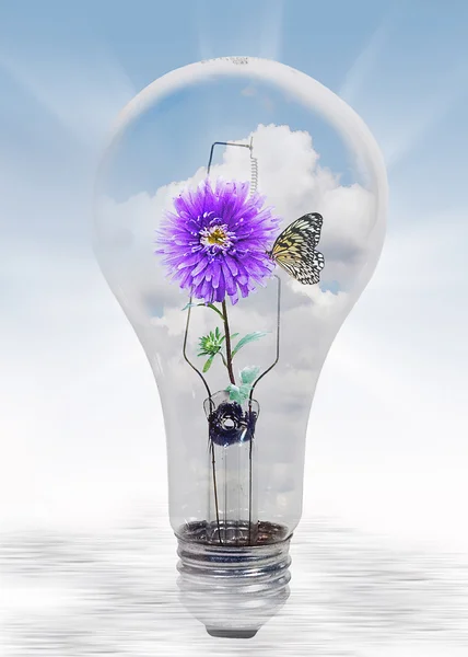 Nature's Light Bulb — Stock Photo, Image