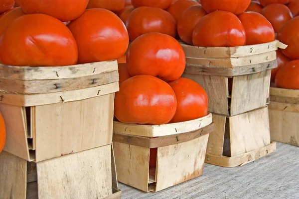 Ripe tomatoes — Stock Photo, Image