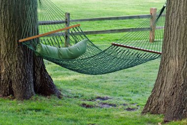 Summer Hammock clipart