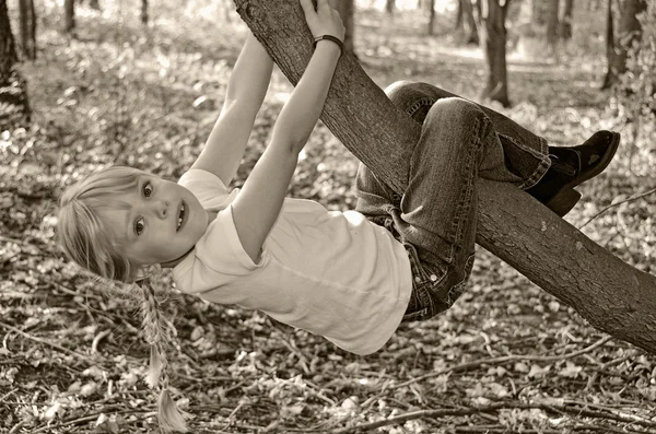 Girl hanging from tree — Stock Photo, Image
