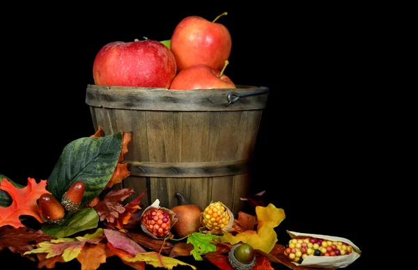 Fall Apples — Stock Photo, Image