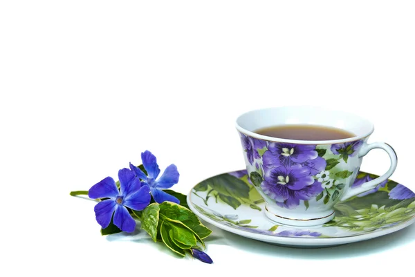 Myrtle blossoms with tea — Stock Photo, Image