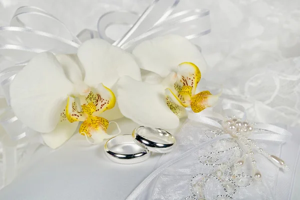 Anéis de casamento de prata com orquídeas — Fotografia de Stock
