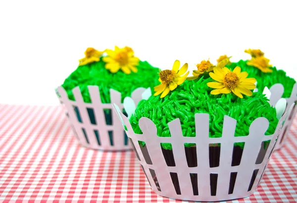Summer Cupcakes — Stock Photo, Image