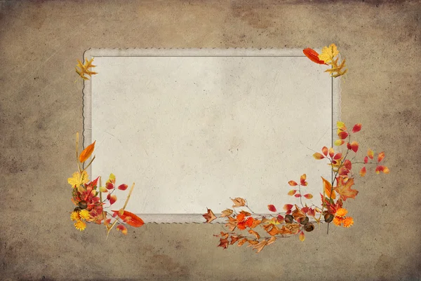 Autumn Frame with foliage — Stock Photo, Image
