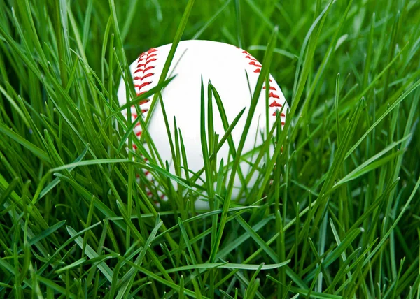 Baseball in tall grass — Stock Photo, Image