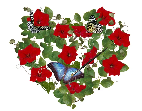 Petunia y collage mariposa —  Fotos de Stock