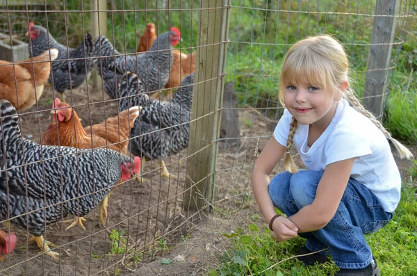 Маленька дівчинка з курчатами — стокове фото