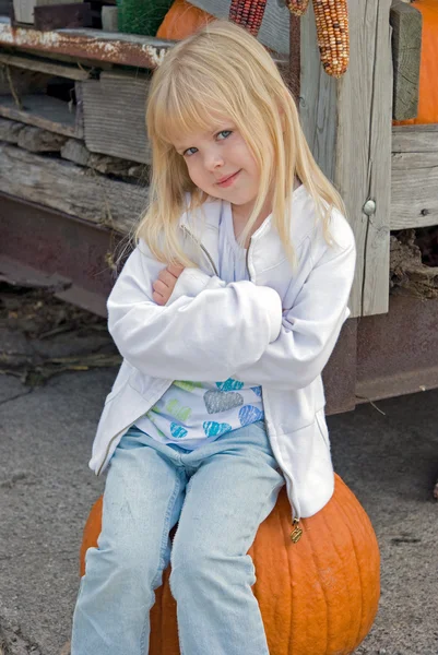 Sitting pretty on a pumpkin — Stock Photo, Image