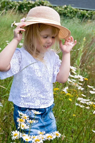 Çocuğunu daisies — Stok fotoğraf