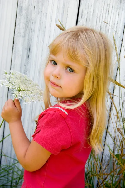 Blond little girl with Queen Anne's lace — Stock Photo, Image