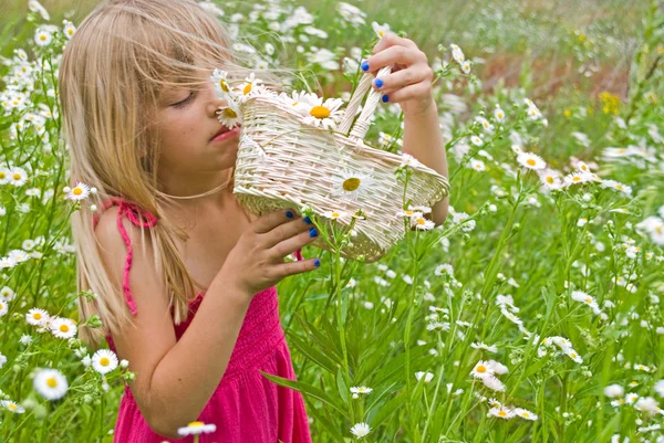 Dziewczyna w stokrotka łąka — Zdjęcie stockowe