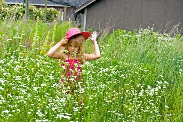 Criança em campo de margarida selvagem — Fotografia de Stock