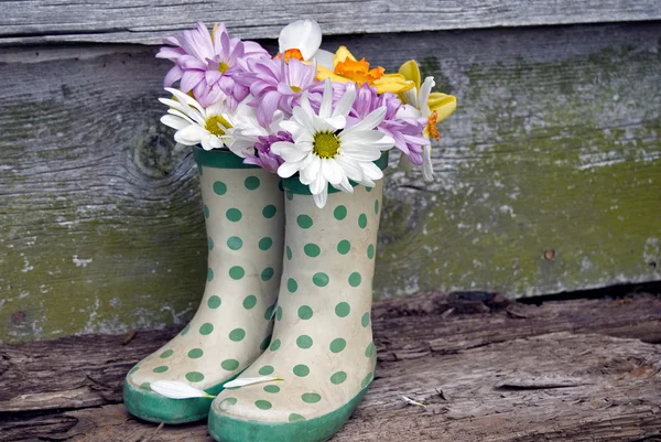 Daisy kytice v botách — Stock fotografie