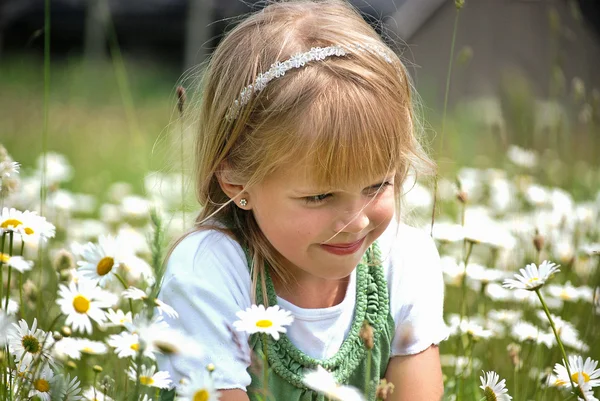 Child in wild daisies — Stock Photo, Image
