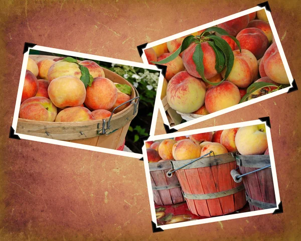 在快照中的新鲜桃子 — 图库照片