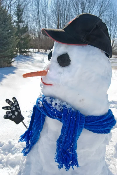 Χώρα χιονάνθρωπος — Φωτογραφία Αρχείου