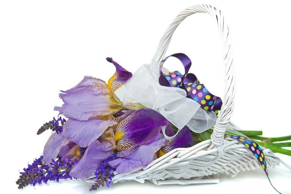 Iris bouquet in gathering basket — Stock Photo, Image