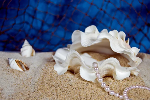 Cadena de perlas en almeja — Foto de Stock